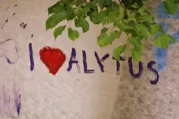 Alytaus iniciatyvų komanda skelbia akciją: miesto gimtadienį švęskime savomis pajėgomis!