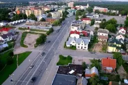 Tarp Alytaus žalumos vyrauja paprastosios pušys, auga beveik trys dešimtys rūšių medžių