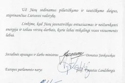 Metų miestu paskelbtas Alytus