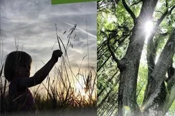 Valdžios koridoriuose - devynmečio čekų fotografo paroda