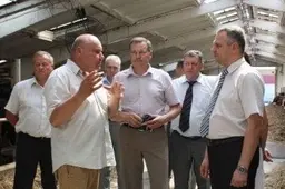 Kriminalai: mirtinai sužalojo daugiškę, vyriškių kūnai rasti šalikelės griovyje, namuose,