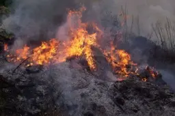 Antradienį gaisrai kilo Žiaunieriškiuose ir Likiškėliuose