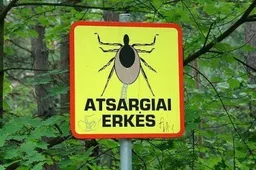 Atsargiai: vietos, kuriose erkių „pasigauti“ lengviausia (INFO)