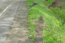 Ulonų gatvėje nuo kelio nuvažiavo automobilis, kurį vairavo 3,44 promilių girtumo vyras