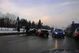 Įvykių suvestinė: naminukė, vagystės, apgaulės...