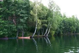 Avirio ežere kaunietis pasigedo porą tūkstančių kainuojančių meškerių