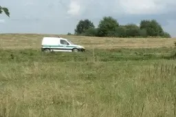 Avis ganykloje rado negyvas