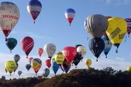 Bulvės moka plaukti tris dienas, o rožės būna ir kreminiais žiedais