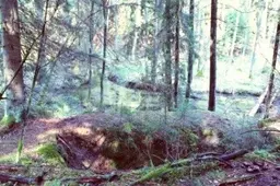 Rasti žmonių kaulai, kaip spėjama – susprogdintų partizanų