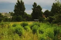 Po gaisro „Berželyje“ – apdegusio alytiškio lavonas