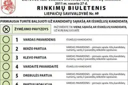 Seimas po svarstymo pritarė pataisoms dėl tiesioginių savivaldybių merų rinkimų