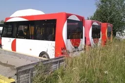 Europos judriosios savaitės renginiai Alytuje – nuo linksmosios estafetės iki nemokamo vežimo viešuoju miesto transportu