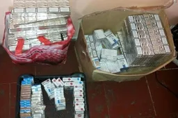Putinų bendrabučio kambaryje Alytuje – per pusę tūkstančio nelegalių cigarečių pakelių