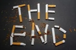 Bajoriškių kaime – 10 tūkst. „Fest“, Avižieniuose - 600 tūkst. kitų cigarečių pakelių