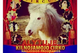 Alytuje – VIP cirkas su tarptautine programa