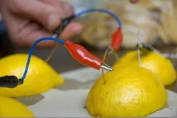 Liaudies medicinos mitai: vitaminas C nemalšina gripo ir peršalimo simptomų