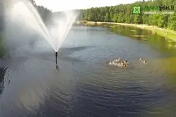 Prie Dailidės, Dusios ar prie jūros? (+TV REPORTAŽAS)
