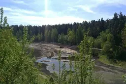 Alytaus Dailidės papildymui vandeniu - pritarta