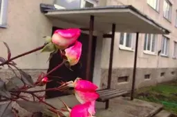 5 būdai, kaip sutaupyti šildymo sezono metu