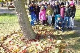 Mozaikas iš rudens sudėliojo Daugų miesto sode