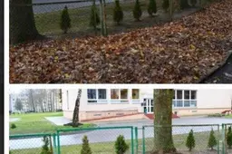 Centro lankytojai čiupo grėblius ir ėmė švarinti aplinką
