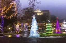 Kurorto eglučių parke - 36 originalios žaliaskarės
