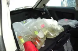 Po avarijos pagalbos prireikė ne tik žmonėms, bet ir žuvims