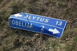 Eismo įvykio metu nukentėjo jaunuoliai iš Obelijos, Varnagirių ir Alytaus (NUOTRAUKOS)