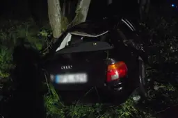 Automobilis nuslydo nuo kelio ir vertėsi