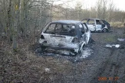Alytuje siautėjo „VW Golf“ degintojai (FOTO)