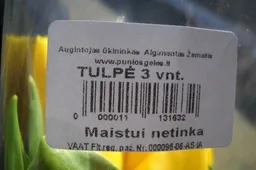 Gėlės - ne tik „dūšiai“, bet ir ... skrandžiui