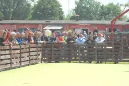 Alytaus pataisos namuose užkardytas pasikėsinimas pabėgti