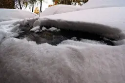 Alytuje užfiksuotas 13 cm aukščio sniegas