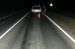 Atpažinta Alytaus rajone eismo įvykyje žuvusi mergina