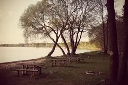 Už gražų vaizdą teks susimokėti - įvedamas valstybinių parkų lankytojo bilietas