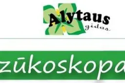 Kriminalų suvestinė: siūlė kyšį, sumušė girtas anūkas, pasišalino nepilnametės