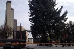 Alytaus rotušės aikštėje - 40-metį švenčiančios mokyklos eglutė