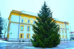 Pirmieji Kalėdų eglutės žiburiai - Marijampolėje, po to - Pirmame Alytuje, Lazdijuose, Simne, Alytuje, vėliausiai - Dauguose, Prienuose ir Varėnoje