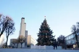 Iki Trijų karalių Alytaus miesto eglutė žibės ir šviesiuoju paros metu