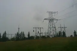 Naujos elektros linijos per Dzūkiją tiesėjai pradeda mokėti kompensacijas