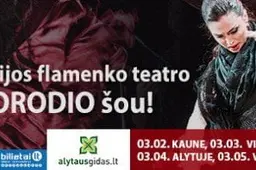 Į Alytų koncertuoti atvyksta tikrasis flamenko teatras iš Ispanijos „Amorodio”