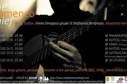 Flamenco garsus dzūkams pristatys gitaristas C. Sutton (VIDEO)