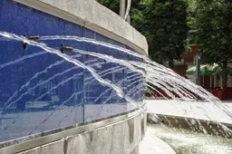 Studentai apklaus tūkstantį alytiškių