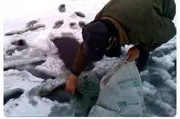 Keistai besielgiantis pilietis kažką traukė iš po ledo...