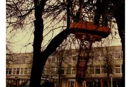 Alytaus rotušės aikštėje „neniūru“ bus iki rinkimų
