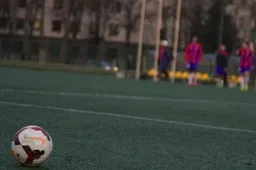 Tarp siekiančių 2015 m. A lygos licencijų – „Dainava", tarp pretendentų į I lygą - „Alytaus apskrities futbolo klubas“