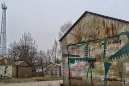 Akcijos „Garažiukas" metu gamtosaugininkai tikrins veikiančius, verslaujančius garažuose