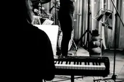 Verslo pažymą išsiėmęs muzikantas iš Alytaus liko be pašalpos