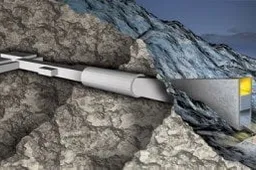 Po Armagedono prisiminimai apie Žemės augmeniją išliks Špicbergene