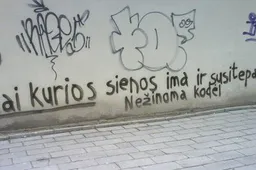 Grafitininkų Alytuje nesustabdo net policijos komisariato sienos (NUOTRAUKOS)